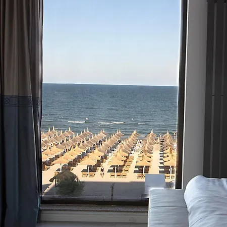 The View *