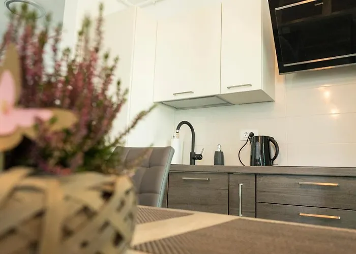 The View Apartment Navodari